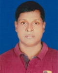 Palash Nicholas Gomes 